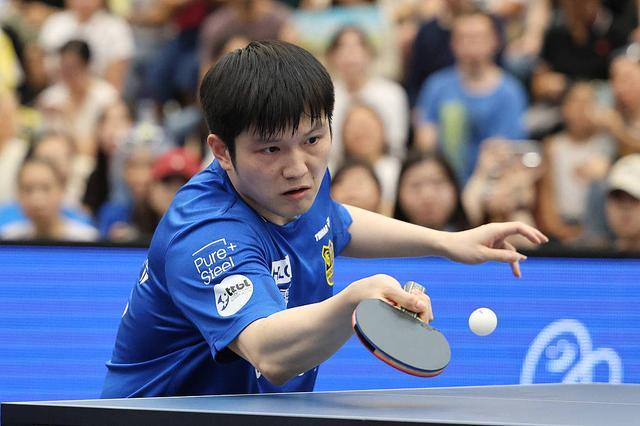 以及对研究 以及对研究