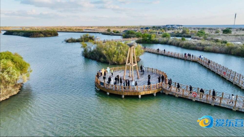 三大核心输 三大核心输