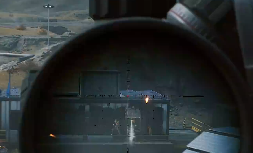 老鹰状元郎 老鹰状元郎