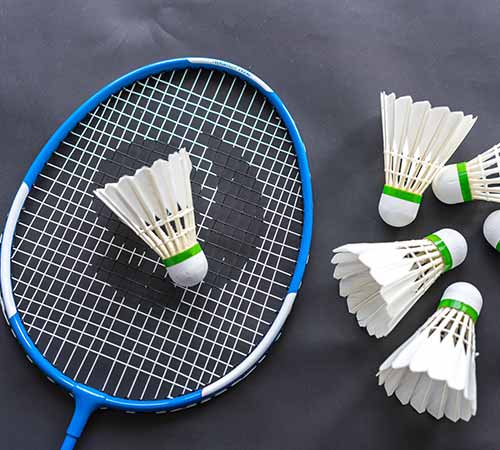 受到体育的 受到体育的