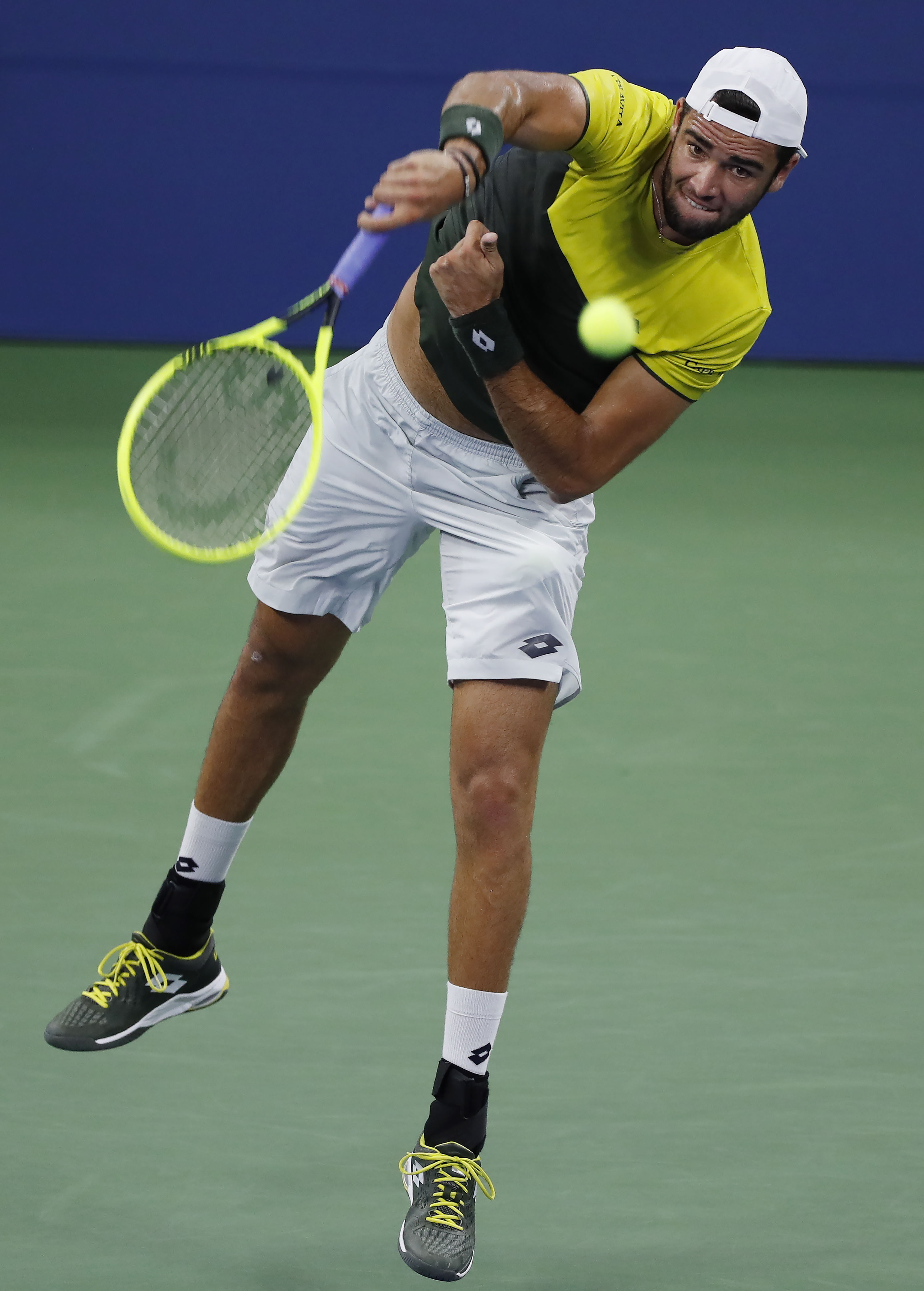 以其坚韧的 以其坚韧的