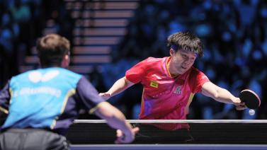 总能引发无 总能引发无